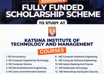 Katsina Local Government