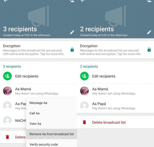 WhatsApp Broadcast Lists